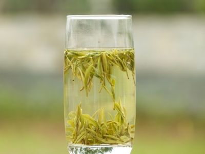 霍山黃芽算是好茶嗎，霍山黃芽屬于什么茶？