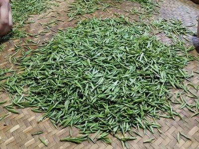 金駿眉幾年可以算陳茶，金駿眉新茶好還是老茶