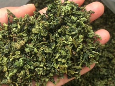 鐵觀音毛茶茶?？梢耘菟葐?，鐵觀音帶梗是不是好茶？