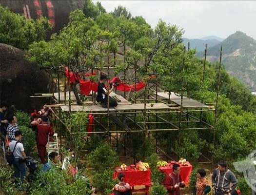 宋種一號(hào)價(jià)值為什么高，鳳凰單樅宋種1號(hào)價(jià)格與產(chǎn)量多少？