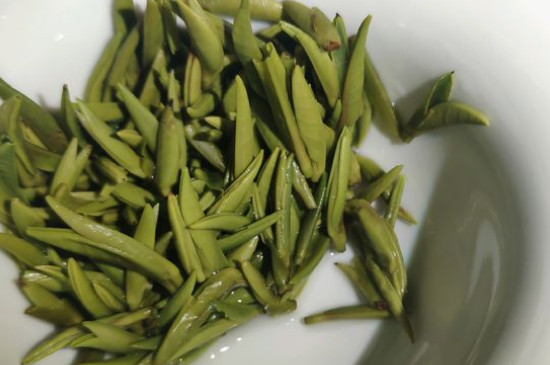 竹葉青茶怎么泡，竹葉青如何沖泡