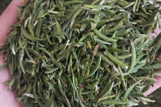 金壇雀舌算不算好茶，金壇雀舌屬于什么檔次茶葉？