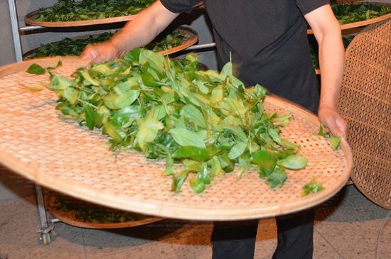 鐵觀音加香精騙局，鐵觀音的香味是添加香精了嗎？