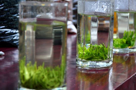 綠茶放了三年還能喝嗎，綠茶放久了喝了會怎樣