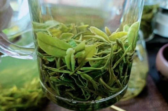 什么綠茶味道濃香，那個(gè)綠茶比較濃香？