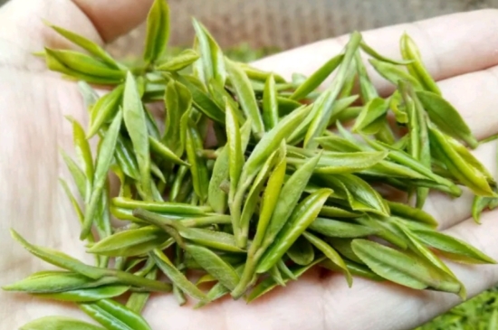 什么是雪前龍井茶，明前、雨前、雨后龍井有什么區(qū)別？