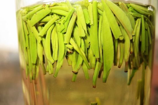 雀舌為何喝著是苦的，雀舌味道怎么那么苦澀？