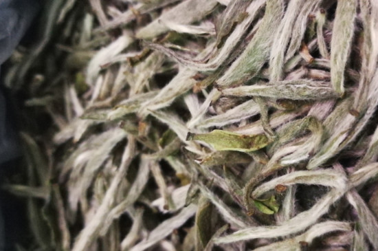 白毫銀針年份越久越好嗎，銀針白毫是否越陳越好