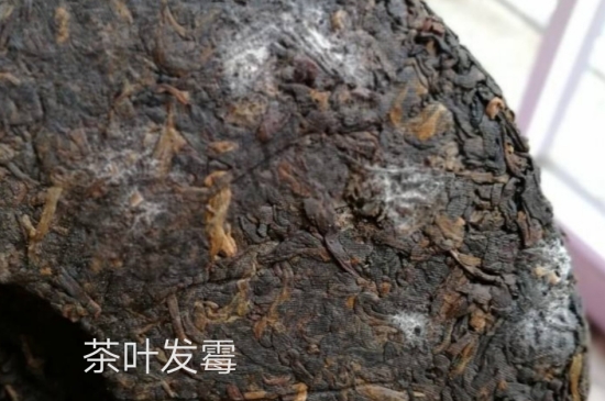 西湖龍井茶毫和發(fā)霉區(qū)別圖片，長霉的龍井茶葉會是什么樣？
